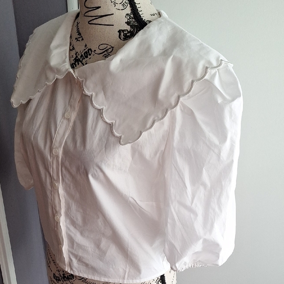 Lush White Blouse with Peter Pan Collar - Picture 4 of 5